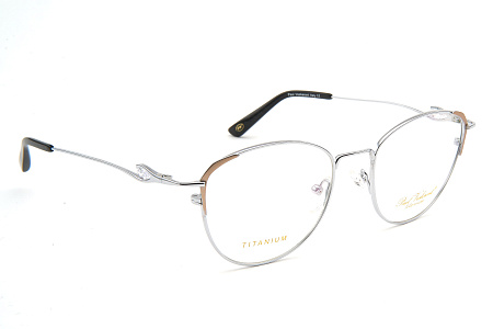 Paul Vosheront VT2010 2