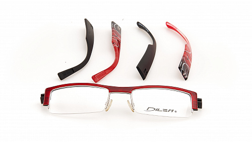 DILEM FD 031