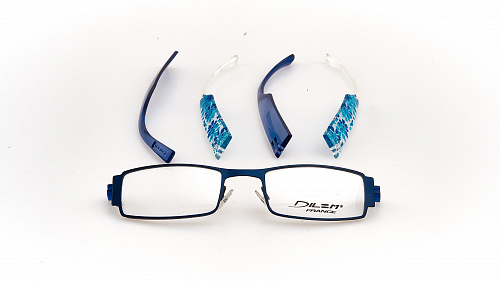 DILEM SD031